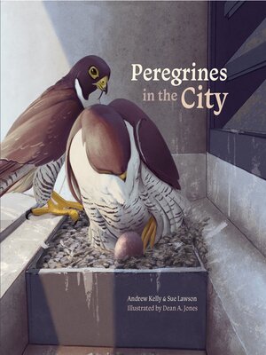 cover image of Peregrines in the City